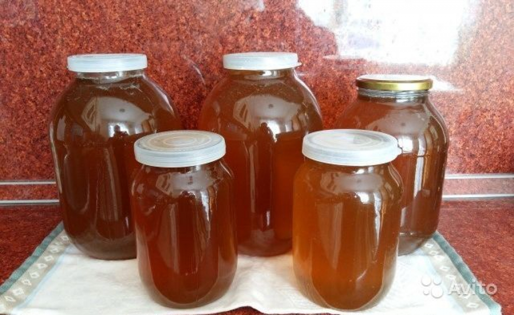 Купить 3 литровую банку меда. Мёд Дагестанский горный. Домашний мед в банке. Мед 3 литра. Банка мёда 3 литра.